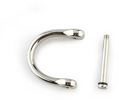 Edelstahl-Karabiner, D-Bogen, Heftklammern, Schäkel, Schlüsselanhänger, Schlüsselanhänger, Haken, Schraubverbindung, Verbindungsschnallen, Outdoor-Armbandschnalle(21mm-Frosted)
