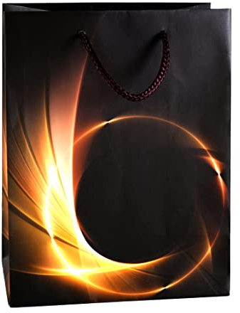 TSI Geschenktüten BUSINESS LIGHT, Größe: Mittel (HxBxT 23 x 18 x 10 cm), 12er Packung, Art. Nr. 82011