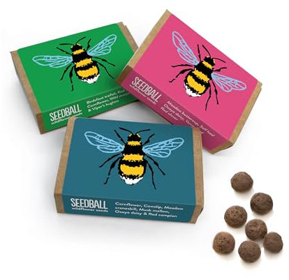 SEEDBALL Bee Mix Wildflower Seed Bombs (Pack of 3, 6 Balls per Box) | Eco Friendly British Wild Flower Seed Mix for Bees, Birds & Garden Wildlife - Gardening Gift for Women & Wildlife Supporters