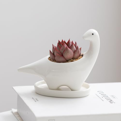 Pocovoza Pots de plantes succulentes en céramique blanche - Petits pots de fleurs d'animaux mignons pour la maison, le bureau, la maison, l'intérieur et l'extérieur, le jardin, la décoration