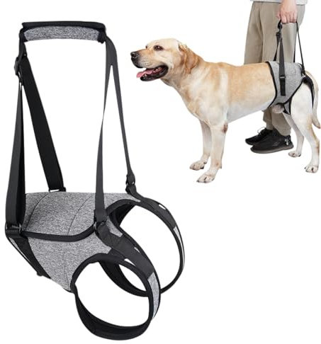Senior Dog Lift Harness - Große Hunde Lift Harness Hund Hinterbeinstütze | Hund Hilfsgurt mit Griffschlaufe, verstellbares Liftgeschirr Hilfsgurt für ältere Hunde, Haustier Gehhilfen