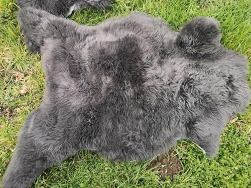 Provellus Echtes Hochwertiges Öko Schaffell Lammfell Fell Top Dk Grau L-XXL (120-130 cm x 70-80 cm)
