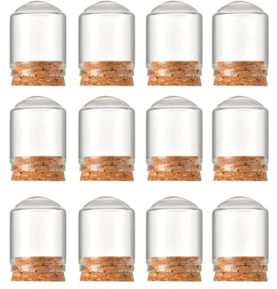 OHEETU 12 mini campane in vetro trasparente a cupola con basi in sughero, per fiori secchi, bomboniere e progetti artigianali (3 x 4 cm)