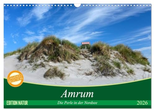 Amrum, die Perle in der Nordsee (Wandkalender 2026 DIN A3 quer), CALVENDO Monatskalender: Lassen Sie sich verzaubern von der naturbelassenen Dünenlandschaft Amrums. (CALVENDO Natur)