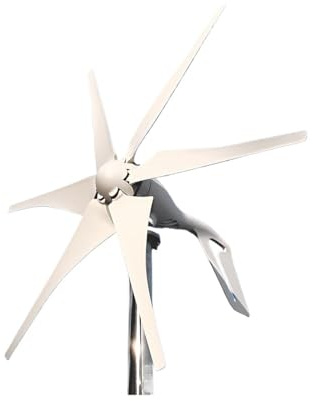 Turbina aerogeneradora Horizontal pequeña for el hogar, 1000W, 12v, 24v, 48V, con controlador MPPT, molino de viento de poco ruido Generación de energía de alta eficiencia y bajo ru(MPPT controller,12