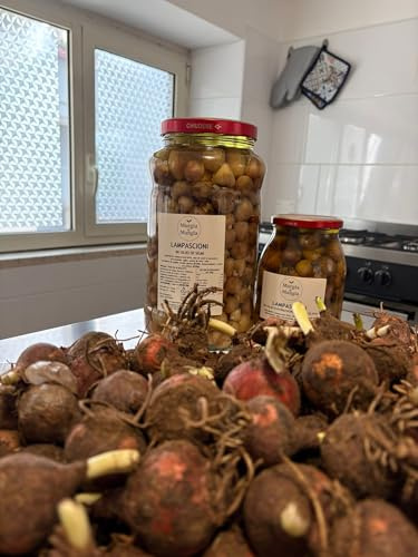 VASETTO DI LAMPASCIONI IN OLIO DI SEMI DI GIRASOLE DA 3100g - OLIO DI SEMI DI GIRASOLE - CONSERVE - MURGIA