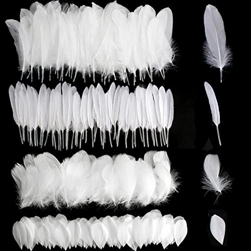 Wei? Federn zum Basteln 300 St¨¹ck Nat¨¹rlich G?nsefedern Dekorationen Bastelfedern 5-20CM Natur Wei?e Federn Deko f¨¹r Traumf?nger DIY Basteln Hochzeit Party Handwerk Schmuck Zubeh?r (4 Stile)