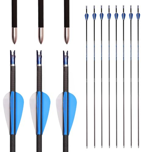 PHILOCS 12 pz Flechas de Carbono-Puro Spine 500 Flecha de Caza, ID 4.2mm Flecha de Práctica, para Arco Recurvo Arcos Compuestos Tiro con Arco (Spine 500, 31inch)