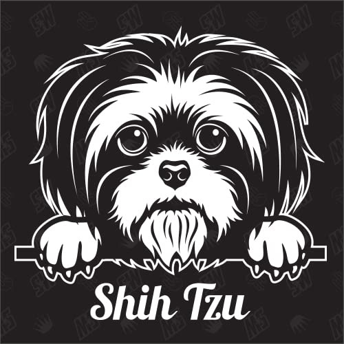 Shih Tzu Version 1 - Sticker, Hundeaufkleber, Autoaufkleber, Hund, Auto, Hunderassen, Aufkleber, Mischling, Mix, Tiere, Haustier (AUCH MIT Wunschname MÖGLICH)