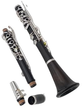 Klarinetten-Set Holzblasinstrument, Klarinette, Deutscher Stil, G-Klappe, 20 Tasten, Ebenholz, Naturholz, Klarinette