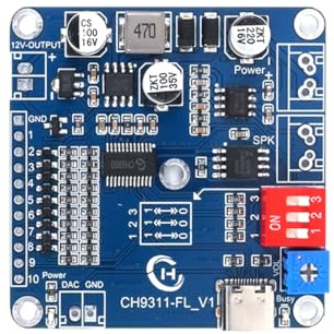 20W Sound Playback Board, 8MB Voice Module USB Downloadable MP3 Music Player DAC 12V Output Support Programmable Combination,Background IO Trigger 10-Way Amplifier Chip for Industry Broadcast Device.