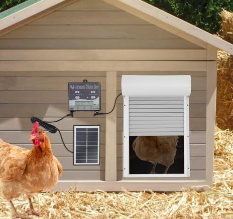 Automatische Hühnerklappe Solar mit LCD Display, Timer und Lichtsensor, Elektrische Hühnerstalltür mit Fernbedienung, Einklemmschutz 4 Modi für Haushalten Bauernhöfen Weiß