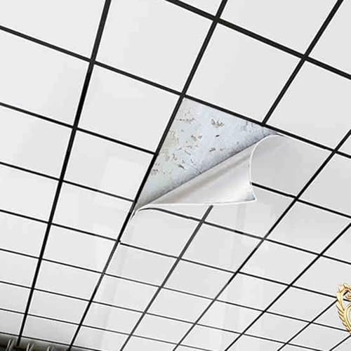 Deckenpaneele deckenplatten Fettdichte Deckenplatten Für Aufkleben – PVC-Platten In Kommerzieller Qualität Für Selbermachen Für Restaurants/Büros/Umbauten – Einfach Zu Installierende(5 pcs)