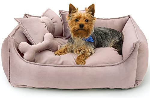 NELKE Hundebett kuschelig Hundesofa für mittlere Hunde Rosa Hundekorb mit Hundekissen flauschig Hundekörbchen im Scandynavian Stil Luxus Hundecouch kleine Hund