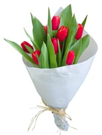 FLORES SOLIDARIAS - Ramo De Tulipanes Naturales - Ramo De Flores - 10 Tulipanes Tallos Rojo - Ramos De Flores Naturales A Domicilio - Regalos San Valentin - Envio 24H