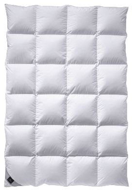 Billerbeck Daunendecke 308 Ambiente Kassette II - Neue Weißgansdaue, 100% Daune (155 x 200 cm)