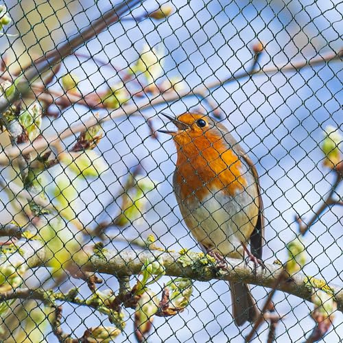AGROHIT Vogelschutznetz, Engmaschiges Schutznetz für Obst, Gemüse oder Teich, gegen Vögel, Laub & Verschmutzung, Teichnetz, Obstbaumnetz, 7,5 x 7,5 m, 56,25 m²