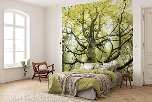 Komar Vlies Fototapete DER TRAUMBAUM | Tapete, XXL, Dekoration, Natur, Landschaft, Schlafzimmer, Wohnzimmer, Büro, Flur | Größe 300 x 280 cm (Breite x Höhe) | SHX6-020
