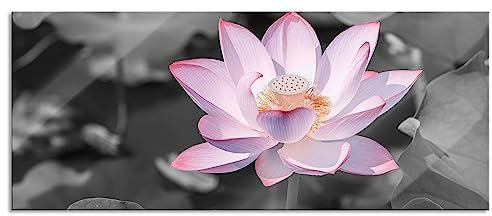 Pixxprint Glasbild Panorama, Wandbild aus Echtglas, Rosa blühender Lotus Nahaufnahme B&W Detail, 100x40 cm, inkl. Aufhängung und Abstandshalter