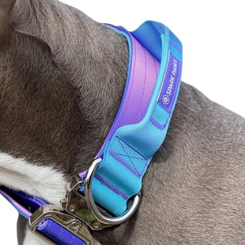 Spark Paws Taktisches Hundehalsband – Robuste, Premium-Qualität, Dick und Langlebig für Große und Mittelgroße Hunde - 90s Retro - - S: 16-25kg [5cm]