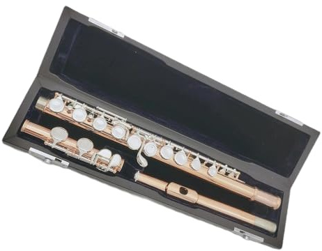 Vergoldete Oberfläche, 16 Tasten, Geschlossenes Loch, C-Ton-Flöteninstrument, Geteilte E-Flöte Mit Aufbewahrungsbox Querflöte für Anfänger