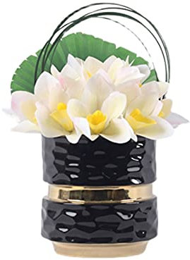 RAABYU 12 14 Pflanzwagen, Blumentopfständer, bewegliches Blumentopftablett, hölzerner Pflanzencaddy mit feststellbaren Lenkrollen, Blumentopf-Untersetzer