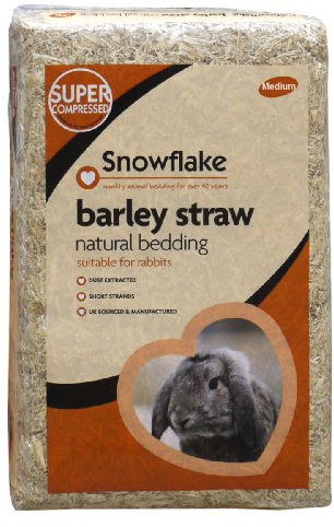 Snowflake Barley Straw, Medium
