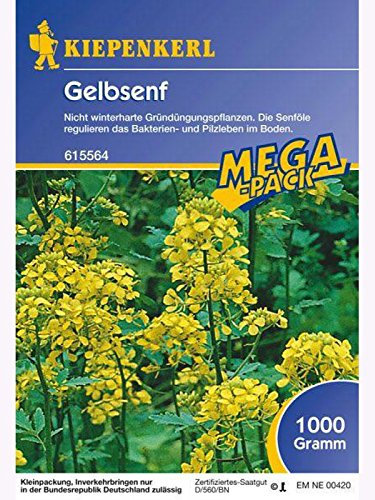 Kiepenkerl Gelbsenf 1 Kg