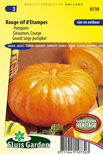 Gourd Rouge VIF d'Etampes - Semillas de verduras por gramo, atractivas, grandes, de color rojo anaranjado, acanaladas con fles naranjas, 3 g, semillas por gramo: +/-11
