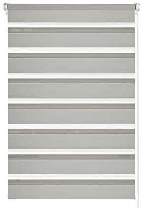 GARDINIA Doppelrollo Shaun zum Klemmen und Kleben, Duo-Rollo/Seitenzugrollo, Transparente und blickdichte Streifen, Alle Montage-Teile inklusive, Hellgrau, 100 x 150 cm