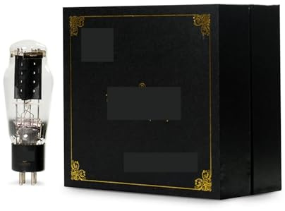 Kit amplificatore audio a valvole WE2A3 2A3C 2A3B HIFI fai da te abbinato(4 PCS)