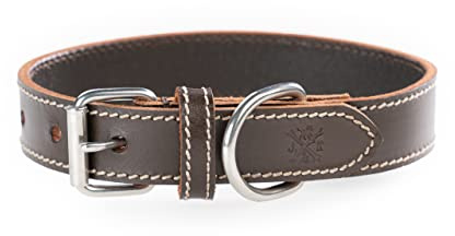 Hundehalsband aus Büffelleder – Robustes & Elegantes Lederhalsband aus Fettleder – Hunde Halsband Leder für kleine & große Hunde Hector braun (XXL (50,5-61,5cm))