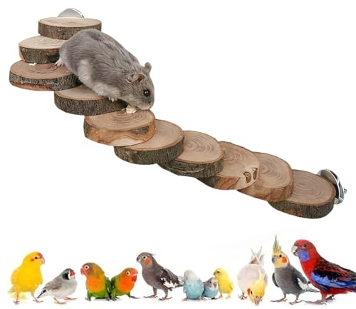 Genérico Escalera De Periquito: para Escalar, Percha para Pájaros | Estimulación Mental En El Patio De Juegos En El Hogar, del Aburrimiento De Los Pájaros, Actividades De Aves para Loros Y Pájar