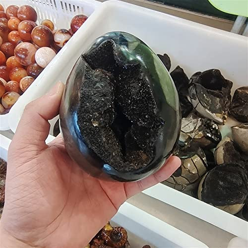 Magia Naturale Curvatura Naturale dei Manufatti d'Arredo Grano di Tartaruga Pietra Uovo Palla Forma di Uovo Cristallo di Drago Gemma di Spaccatura Septario Decorazione della Stanza (Size : 200-300g)