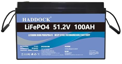 Leisure batería，Batería LiFePO4 de 48V (51,2V) 100 Ah batería de fosfato de hierro y litio, reemplazo de batería de ciclo profundo para Adecuado para sistemas fotovoltaicos, acampada, etc.