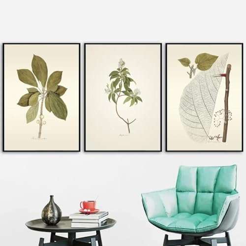 LTjiajuypd Hyazinthen-Wegerich-Pflanzenposter, Vintage-Wandkunst, Leinwandgemälde, nordische Poster und Drucke, Bilder für die Raumdekoration, 50 x 70 cm, 3 Stück, ohne Rahmen
