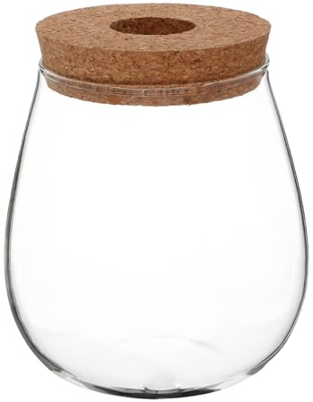 Hemobllo Vaso Trasparente Per Coltivazione in Acqua in Vetro Barattolo Per Propagazione Di Piante Verdi Terrario Da Tavolo in Vetro Per Fiori Fioriera Da Scrivania