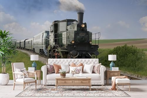 Fototapete 3D Effekt Retro Dampflokomotive Tapete Modern Wandbild Vlies für Wohnzimmer Schlafzimmer Kinderzimmer Küche Natur Grüne Felder Wandtapete Kunstdrucke Wanddekoration 400 x 280 cm 5q292