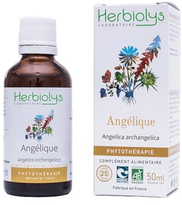 Herbiolys - Teinture mère Angélique (Angelica archangelica) 50 ml | Extrait de Plantes fraîches - Digestion & Tonus - Phytothérapie Bio - Fabriqué en France