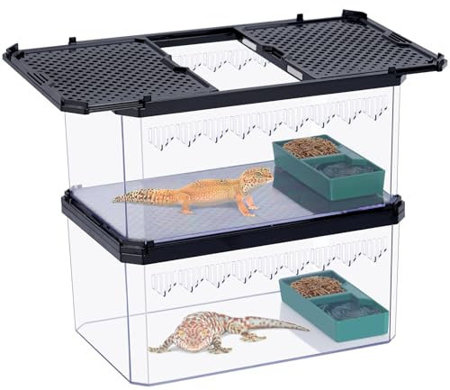 MOGOULUA 2 Stück Mini Reptil Terrarien Tank mit Magnetischer Abdeckung Stapelbares Reptilien Aquarium Reptil Tank für Schildkröten Einsiedlerkrebs Vogelspinnen Amphibien Home Office Dekor