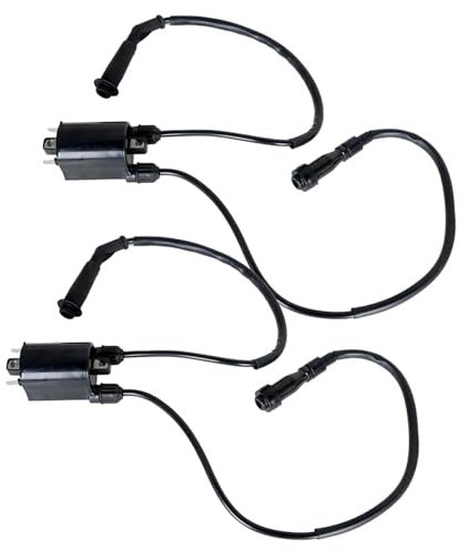 Motorrad Zündspule Für Shadow Für VLX VT600C 1988 1989 1990 1991 1992 1993 1994 1995 1996 1997 1998 1999 2000-2007 2 Sätze Zündspule Und Zündkerzenstecker Zündspule Motorrad