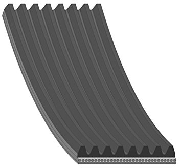 Blue Print AD08R1225 Correa Trapecial Poli V