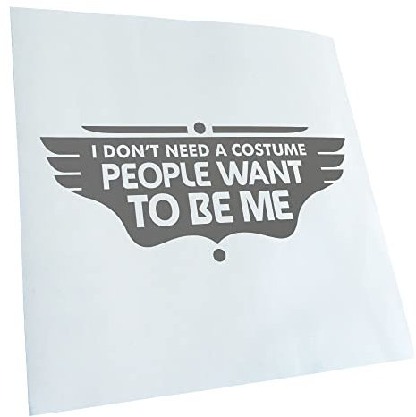 Kiwistar - Autoaufkleber - Grau - 40x17cm - I dont need a costume people Sticker - Heckscheibe Auto Aufkleber wetterfest für Kfz LKW Mofa Truck - Sticker außen selbstklebend Tuning Zubehör für