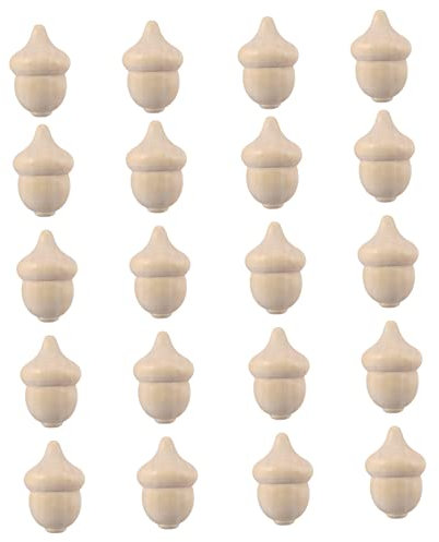 TOYANDONA 20stücke Dekorative Natur Für Junge Mädchen Diy Malerei Projekte Unfertiges Handwerk