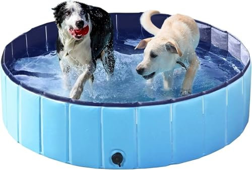 KFXYSM Piscine pour Chien, Piscine Pliable Piscine Pliable for Chiens 160 x 30 cm, en Plastique Rigide, Portable, for Chiots et Chats(Blue)