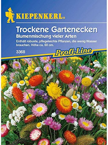 Blumenmischung Trockene Gartenecken einjährige Mischung vieler Arten