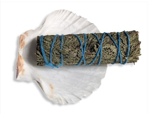 Smudge Stick Kits - Incenso - Meditazione - Mindfulness - Nativi americani - Spirituale (Cedar and Scallop Shell)