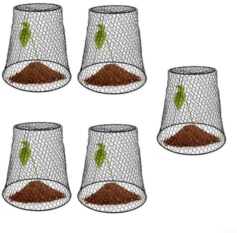 5 campane da giardino in filo metallico per proteggere le piante, con pali da giardino, gabbia in metallo, protezione da animali per verdure, mirtilli, fiori (nero)