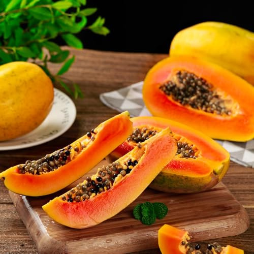 semi di papaya - rare perenni resistenti biologici 100pcs
