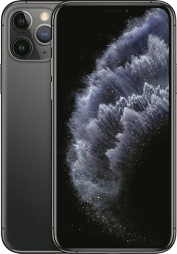 iPhone 11 Pro 256GB Gris Espacial